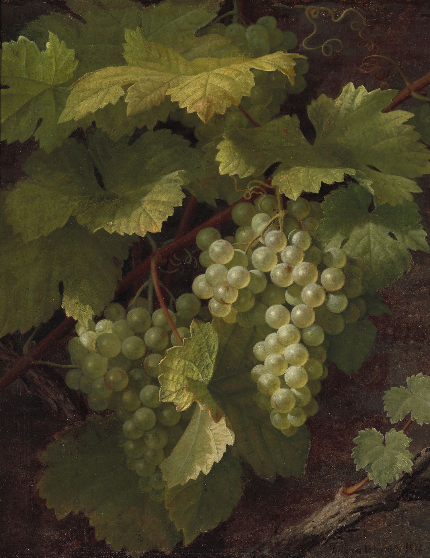 William Hammer - Green grapes (1878)